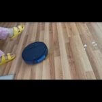 iMartine BR151 Robot Vacuum and Mop Combo – 2-in-1 Slim Robotic Cleaner with 2300Pa Suction, App/Voice/Remote Control, Self-Charging, Quiet Operation for Pet Hair, Hard Floors & Low Pile Carpet photo review