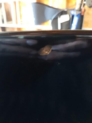 Weber Original Kettle Premium Charcoal Grill – 22-Inch Black BBQ with Hinged Cooking Grate, One-Touch Cleaning System, Heat Retention Lid, and Built-In Thermometer photo review