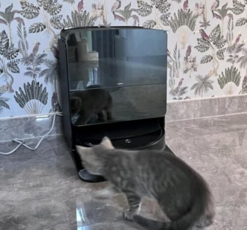 Roborock Saros 10R Robot Vacuum and Mop – Ultra-Slim 3.14”, Powerful Suction, Zero-Tangling, Self-Emptying, Smart Mapping, Hot Air Drying, Pet-Friendly – Black photo review