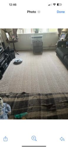 Shark AI Ultra Robot Vacuum – Self-Emptying, Smart Mapping, Matrix Clean, 60-Day XL Base, Pet Hair Pickup, Voice/App Control, LiDAR Navigation for Carpet & Hard Floors photo review