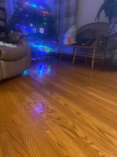 eufy Omni C20 Robot Vacuum and Mop Combo | 7000Pa Suction, Self-Emptying, Auto Mop Wash & Dry, Ultra-Slim, All-in-One Cleaning Station photo review