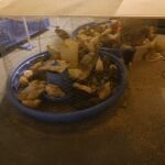 Intex 9.8ft x 6.6ft x 29.5in (300cm x 201cm x 75cm) Rectangular Above Ground Pool with Metal Frame & Flow Control Valve – Easy Setup Family Backyard Pool – 4,500L Capacity – Blue photo review