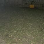 American Lawn Mower Company 14″ (35.6 cm) 4-Blade Manual Reel Mower – 5-Position Height, 20 lb (9.1 kg) photo review