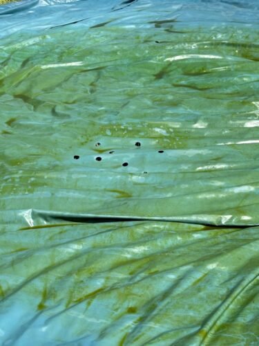 Intex 28167EH Easy Set Inflatable Pool Set – 15ft (4.57m) x 48in (122cm) Round Above Ground Pool with 1,000 GPH Pump, Ladder, Cover & Ground Cloth – 3,736 Gallon (14,141L) Capacity – 3-Ply PVC photo review