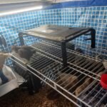 Intex 9.8ft x 6.6ft x 29.5in (300cm x 201cm x 75cm) Rectangular Above Ground Pool with Metal Frame & Flow Control Valve – Easy Setup Family Backyard Pool – 4,500L Capacity – Blue photo review