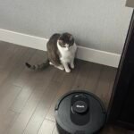 Shark AV2501S AI Ultra Robot Vacuum with HEPA Self-Empty Base, Matrix Clean Navigation, 30-Day Bagless Capacity, Smart Mapping, Voice/App Control, Perfect for Pet Hair & All Floors, Dark Grey photo review