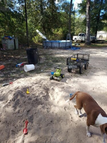 Bestway Steel Pro MAX 12ft (3.66m) x 30in (76cm) Round Above Ground Swimming Pool Set with Filter Pump – 6,473L Capacity – Durable Metal Frame Family Outdoor Pool – Gray photo review