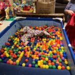 Intex 9.8ft x 6.6ft x 29.5in (300cm x 201cm x 75cm) Rectangular Above Ground Pool with Metal Frame & Flow Control Valve – Easy Setup Family Backyard Pool – 4,500L Capacity – Blue photo review