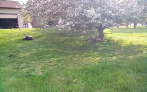 MZK 40V (2×20V) Cordless Electric Lawn Mower – 13″ (33 cm) Deck, Dual 4.0 Ah Batteries & 4-Position Height photo review