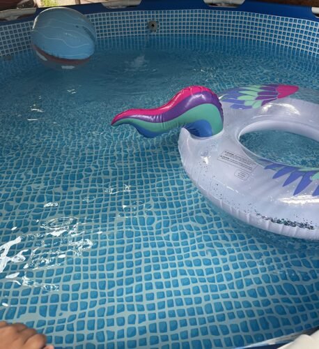 Intex 28211EH Metal Frame Pool Set – 12ft (3.66m) x 30in (76cm) Round Above Ground Swimming Pool with 530 GPH Pump – 1,718 Gallon (6,504L) Capacity – 3-Ply Puncture-Resistant PVC – Rust-Resistant Frame photo review