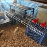 Intex 9.8ft x 6.6ft x 29.5in (300cm x 201cm x 75cm) Rectangular Above Ground Pool with Metal Frame & Flow Control Valve – Easy Setup Family Backyard Pool – 4,500L Capacity – Blue photo review