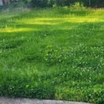 Greenworks 24V Brushless Cordless Push Lawn Mower – 13″ (33 cm) Deck, 4.0 Ah Battery & Charger Included photo review