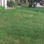 BLACK+DECKER 20V MAX Cordless 3-in-1 String Trimmer, 12″ (30.5 cm) Mower & Edger – Model MTC220 photo review